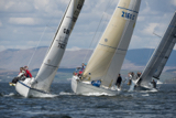 fair e nuff gbr7029 cara of kip gbr2160c aurora gbr7737r kip15 1418w